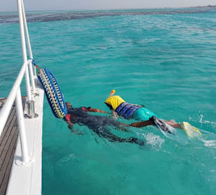 Snorcheln war sooo schön