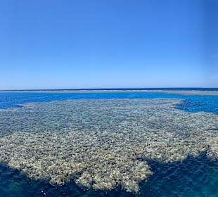 Schnorcheln Marsa Alam