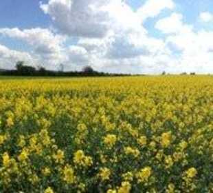 Auf dem Weg zum Staffelberg