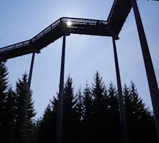 Waldwipfelweg St. Englmar