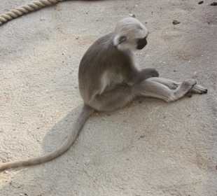 ZOOM Erlebniswelt Gelsenkirchen