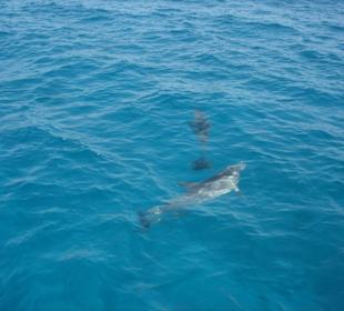 Wunderschöner Ausflug mit SimSim Reisen