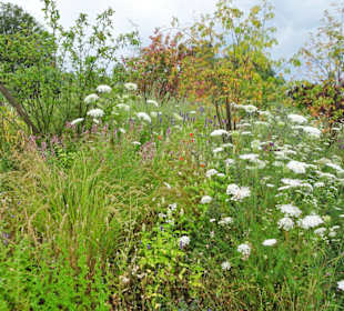 Rundgang durch den Kräuterlehr- und Schaugarten