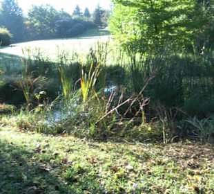 Botanischer Garten