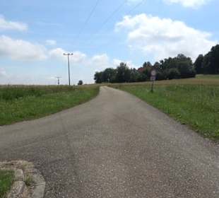 Burgruine Niederhaus