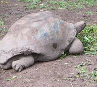 Tour durch den Süden