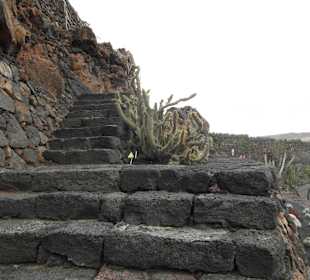 Treppe zur Windmühle