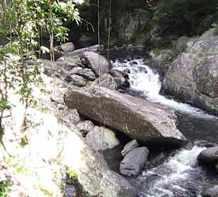 Felsen