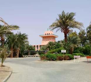 Ausflug El Gouna mit Alex Andra