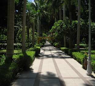 Rundgang über Geziret El-Nabatat