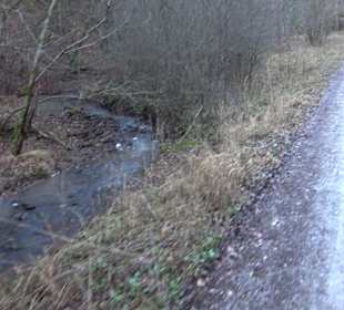 Wanderung rund um den Ochsenweiher