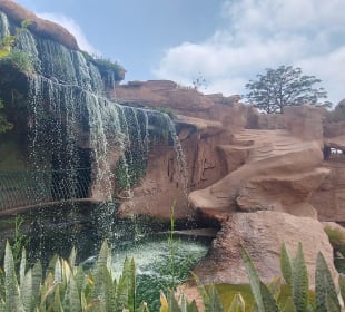 Stadtrundfahrt Agadir