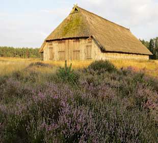 Wandern Undeloh