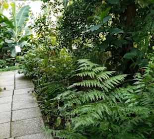Botanischer Garten