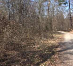 Geologischer Lehrpfad Kirnbachtal