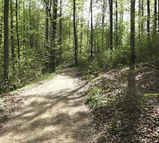 Wanderweg Firstwaldrunde