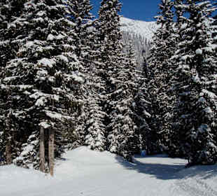 Skitour Weißer Ring