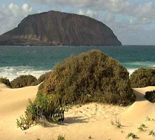 Insel Orzola-La Graziosa