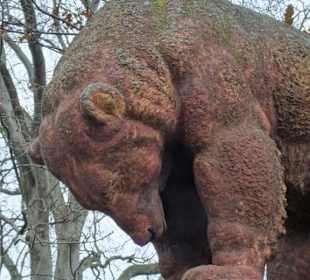 Die Skulptur Berliner Bär in den Wallanlagen