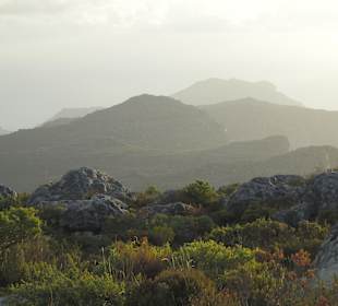 "misty views" vom Table Mountain