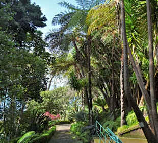 Rundgang durch den Monte Palace Tropical Garden