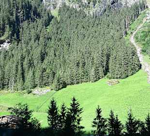 Wandern Fügen (Zillertal)