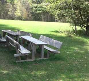 Strauchlehrpfad