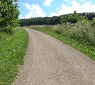 Burg Hölnstein Stetten u. Holstein