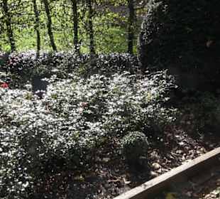 Französischer Garten