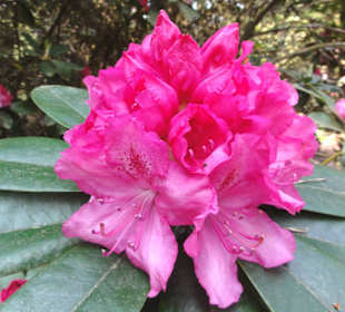 Impressionen vom Rundweg durch den Park