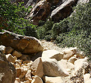 Wanderung zum Icebox Canyon