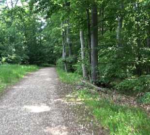 Premiumwanderweg "hochgelegen"