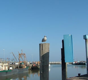 Hafen