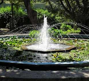 Rundgang durch den Botanischen Garten Cagliari