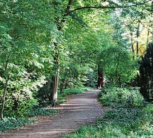 Eindrücke aus dem herbstlichen Knoops Park