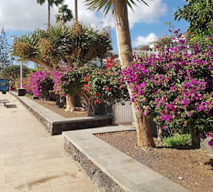 Strandpromenade Playa del Inglés