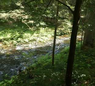 Wunderbare Wanderung am Großen Regen
