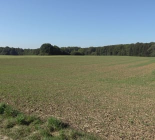 Elsachstadt Tor F Burrenhof Erkenbrechtsweiler