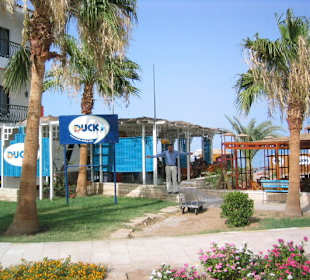 Duck`s Büro
