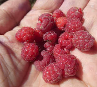 Wanderung Kleiner Arber