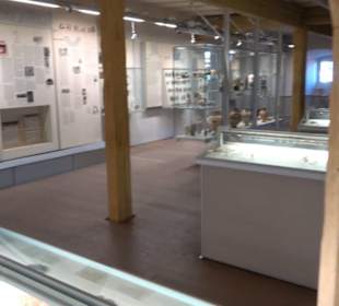 Museum Alte Kulturen