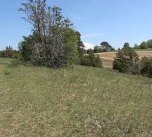 Premiumwanderweg Hochgehschätzt