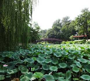 Summer Palace (Yiheyuan)
