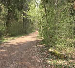 Vitus Mayer Waldlehrpfad