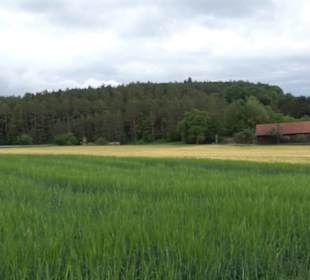 Wanderweg - Alter Steinbruch Pfaffenberg Runde
