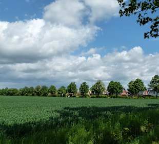 Blick von Greives Kapelle auf das Wohngebiet