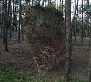 Ruiny kościoła św. Mikołaja