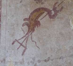 Dettagli degli ornamenti