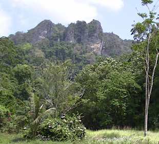 Im Inneren der Insel Rai Leh