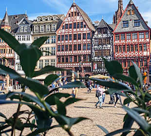 Frankfurt am Main